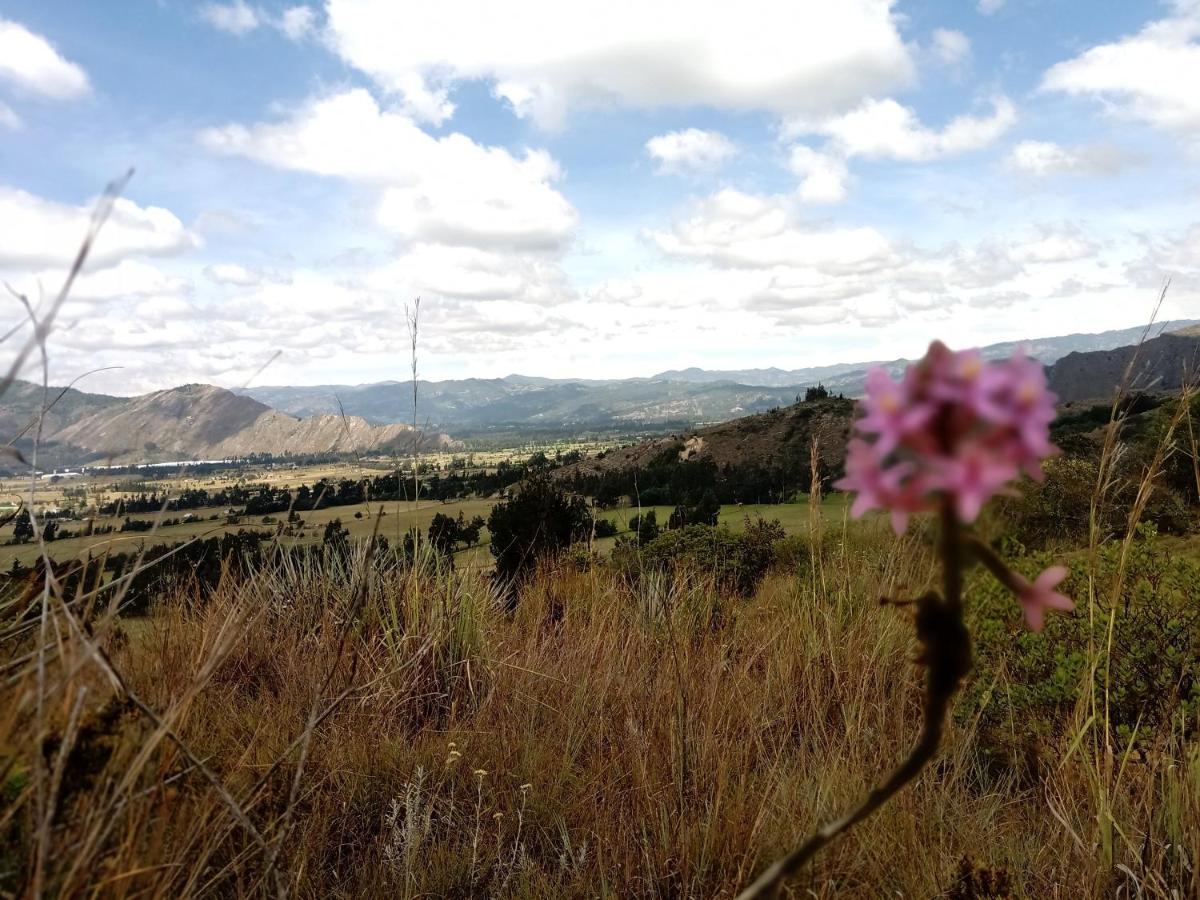 Hotel Campestre Los Duraznos Cucunuba Екстер'єр фото