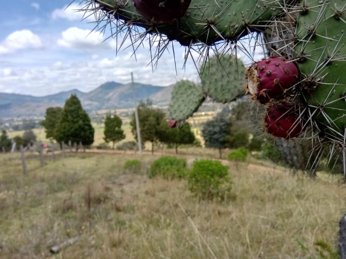 Hotel Campestre Los Duraznos Cucunuba Екстер'єр фото